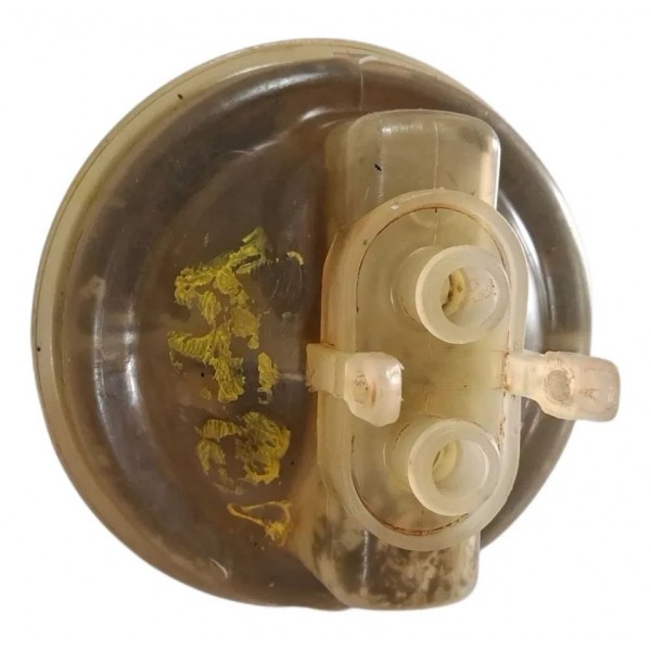 Reservatório Fluido Freio Cordoba 1995 Cx755