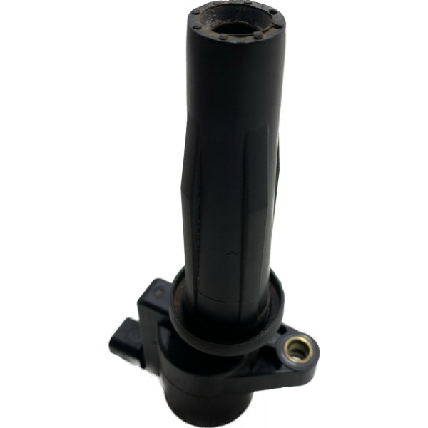 Bobina Ignição Ford Ecosport 2.0 Duratec Aut 2013/2017 Cx383
