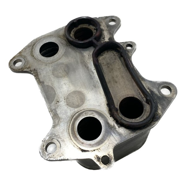 Radiador Resfriador Oleo Volkswagen Amarok 2.0 10/20 Cx361