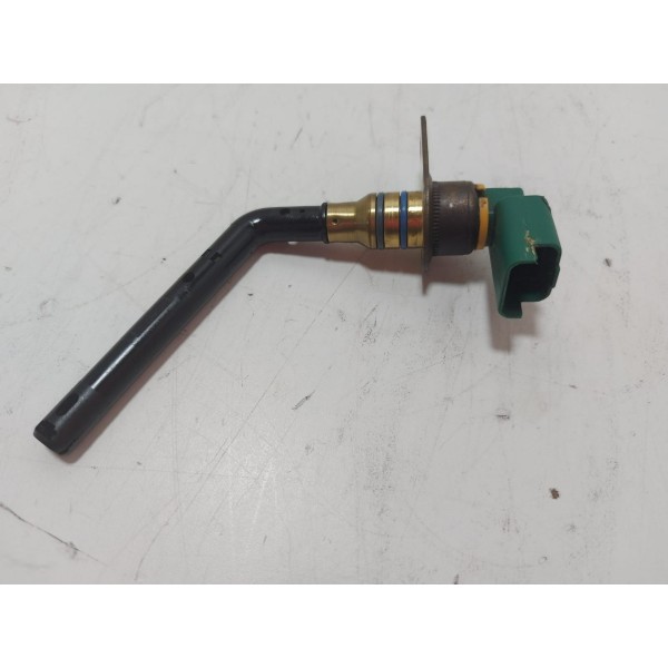 Sensor Nível Óleo Motor  Peugeot 307 2.0 16v 2006 (cx39)